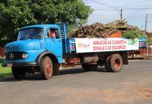 Arrastão contra dengue e escorpião recolhe 341 caminhões de entulhos em 22 bairros