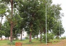 Praça do Viva Olímpia recebe nova iluminação