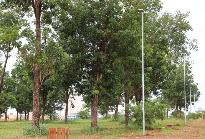 Praça do Viva Olímpia recebe nova iluminação
