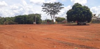 Começa a construção do Vale dos Dinossauros em Olímpia