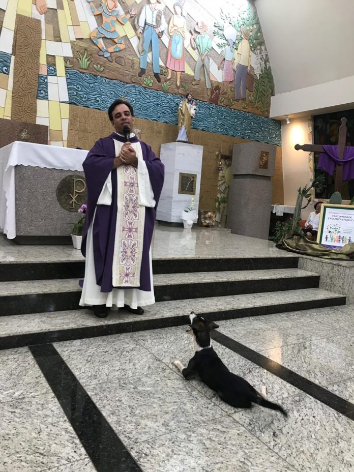 Cãozinho amigo do padre e da Igreja São José ‘viraliza’ e causa comoção na postagem do Diário de Olímpia
