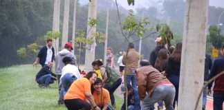 Semana do Meio Ambiente é marcada por atividades de conscientização