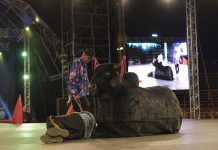 Santa Catarina confirma presença no 55º Fefol com o grupo folclórico Boi de Mamão do Pantanal