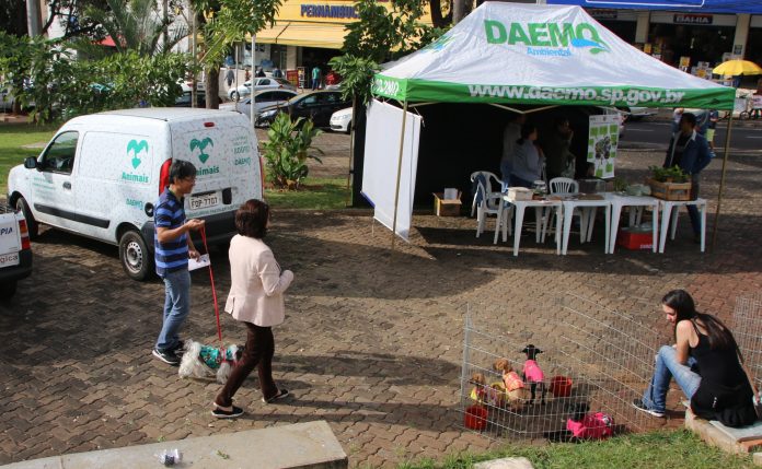 Agosto e Setembro também tem doação de mudas e de animais pelo Daemo