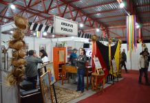 Homenagens e resgate histórico marcam estande do Arquivo Público no 55º Fefol