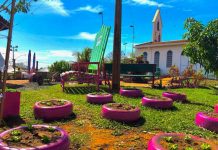 Espaço da Daemo Ambiental ganha destaque no 55º Fefol