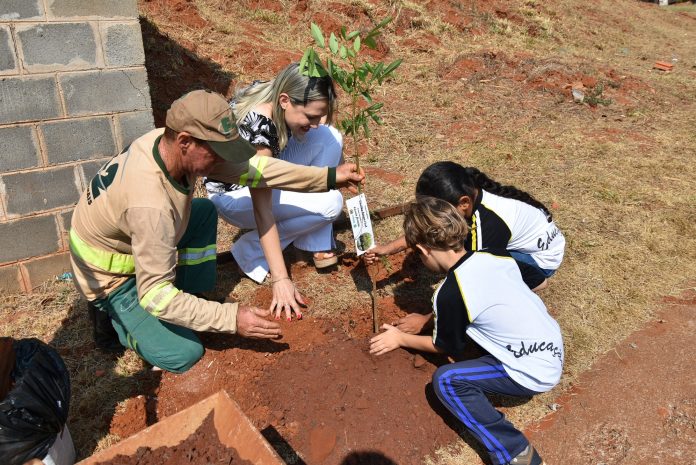 Projeto Floresta Urbana é implantado na Avenida Alberto Oberg
