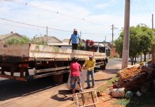 Distrito de Ribeiro recebe ação de limpeza contra dengue e escorpião, terça