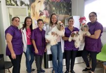 Maíra Mouron reinaugura Clínica Veterinária moderna, mais ampla, creche e futuro hotel