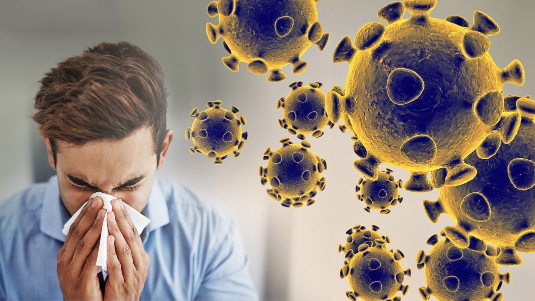 coronavirus-graphic-web-feature.jpg