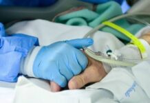 SP tem 118 mil casos e 7,9 ml mortes por coronavírus