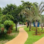 Bosque Urbano (2)