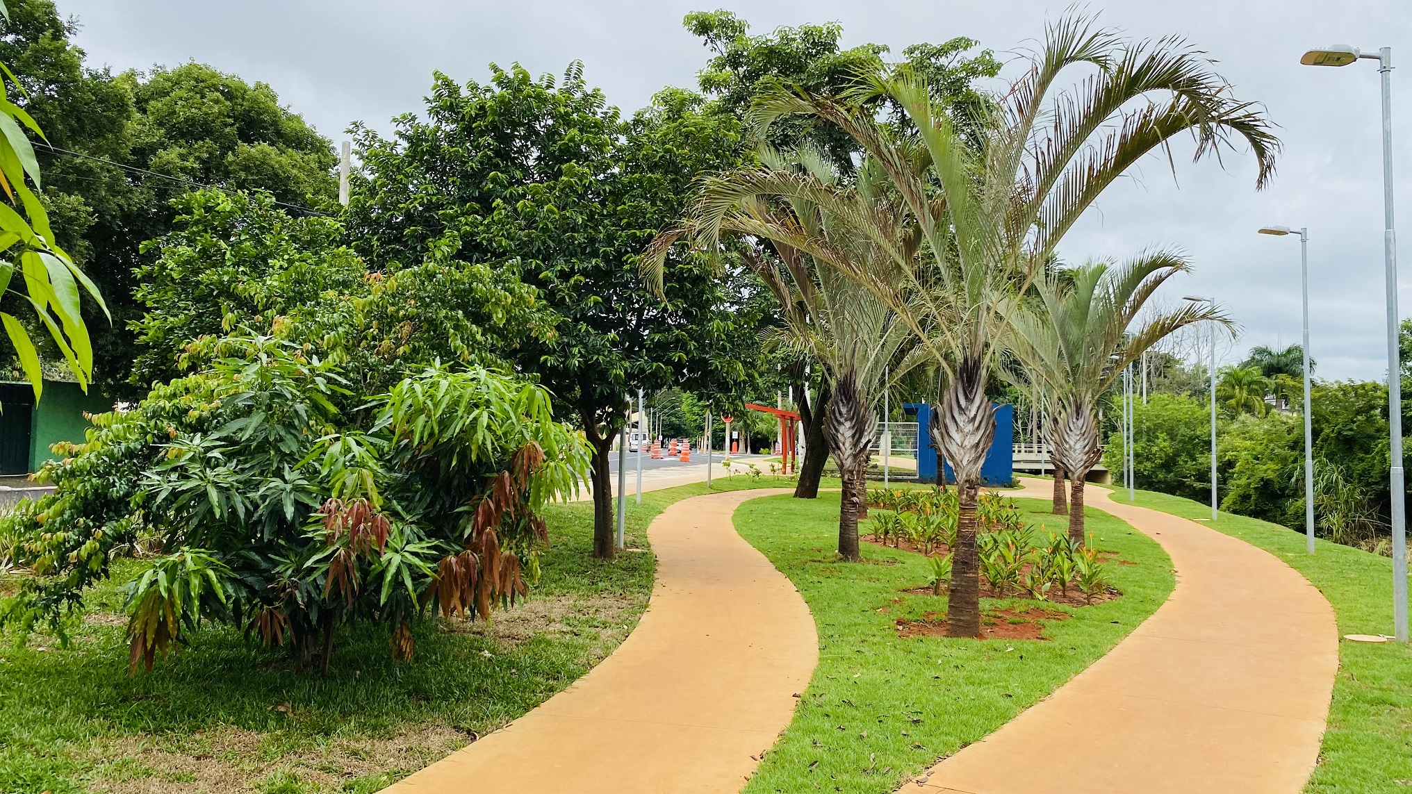 Bosque Urbano (2) Diário de Olímpia