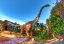 Enjoy Olímpia Park Resort lança “Vale Viagem” para hospedagens até 2022