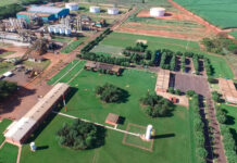 Tereos se junta ao Compromisso pela Ação Climática da Ambev