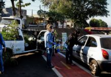 Drive-Thru ecológico recolhe 150 quilos de resíduos eletrônicos e doa 170 mudas