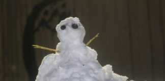 É FAKE: Frio mais intenso do século chega ao Brasil esta semana