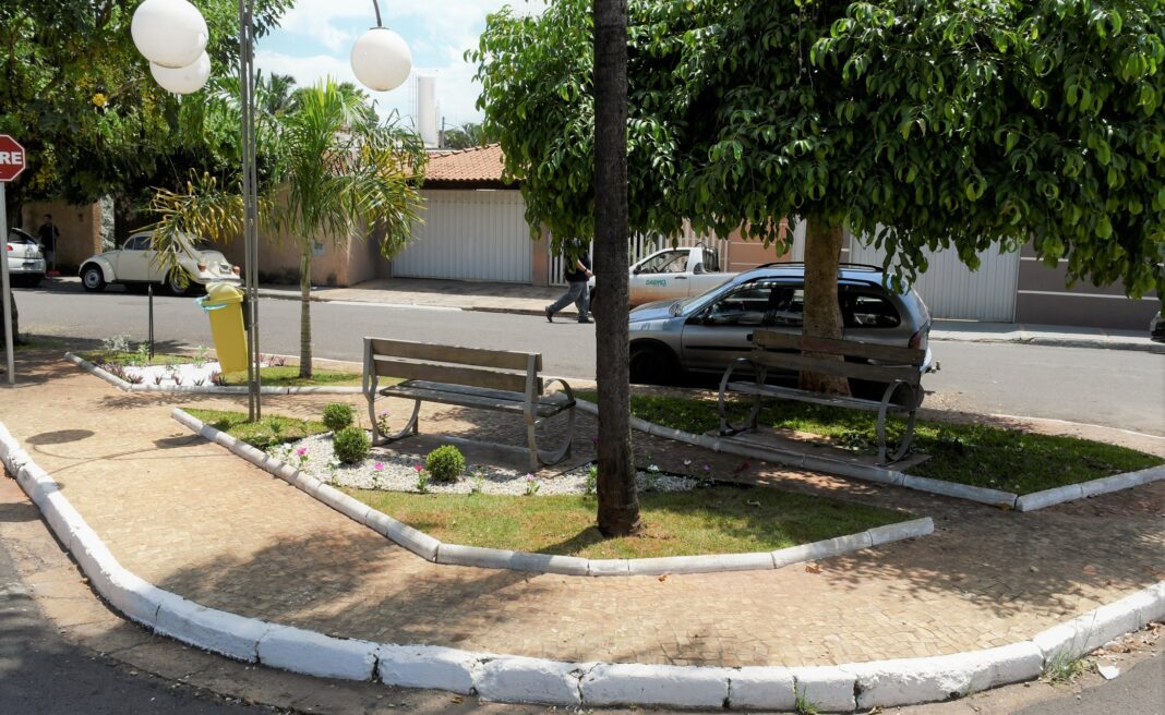 Adote uma Praça (3)