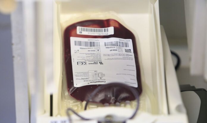 Doador de sangue fica apto após 10 dias de diagnóstico da Covid-19