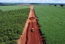 Vicinal do Campo Alegre terá investimento do ‘Programa Melhor Caminho’