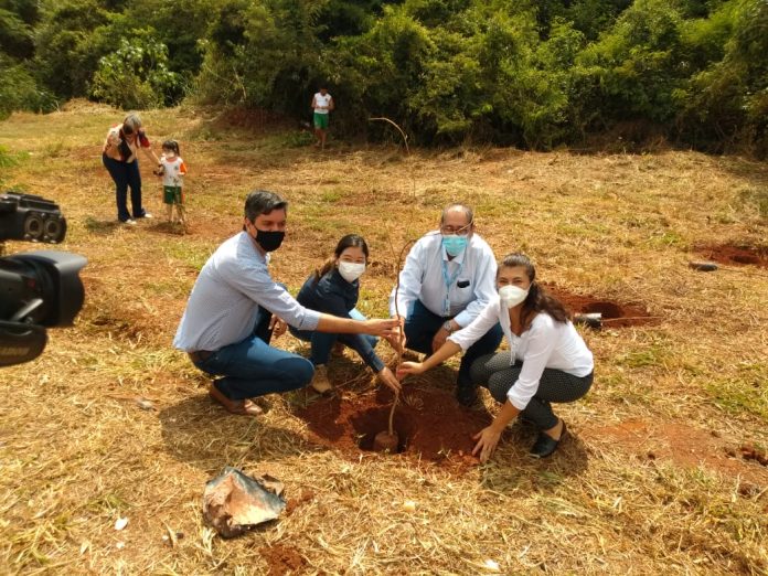 Dia Mundial da Água: Tereos apoia recuperação de nascente em Barretos