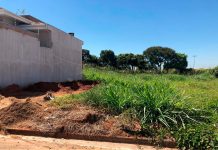 Prazo de 10 dias: Prefeitura exige limpeza de 43 terrenos no Centenário
