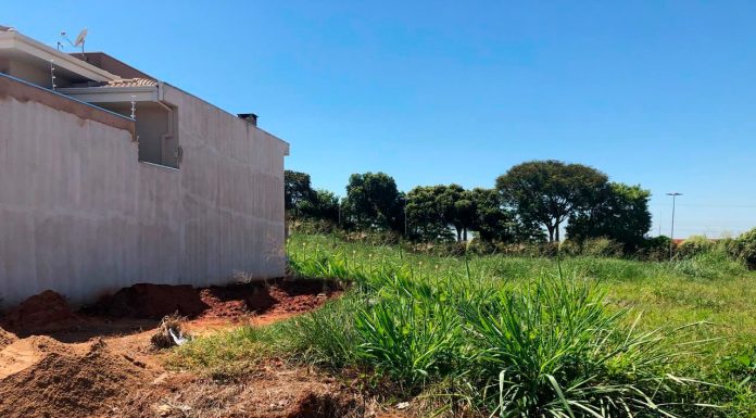 Prazo de 10 dias: Prefeitura exige limpeza de 43 terrenos no Centenário