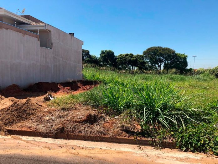 Prazo de 10 dias: Prefeitura exige limpeza de 43 terrenos no Centenário