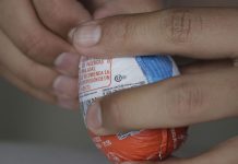 Kinder Ovo: além do brinquedinho, uma Salmonella Typhimurium