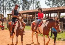 Parque ‘abraça’ a cultura country durante a Festa do Peão de Barretos