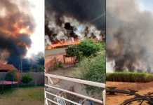 Incêndio criminoso em canavial atemoriza moradores do Colorado e Tênis Clube