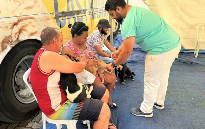 Mutirão gratuito castrou 55 gatos e 135 cães na Praça da Matriz