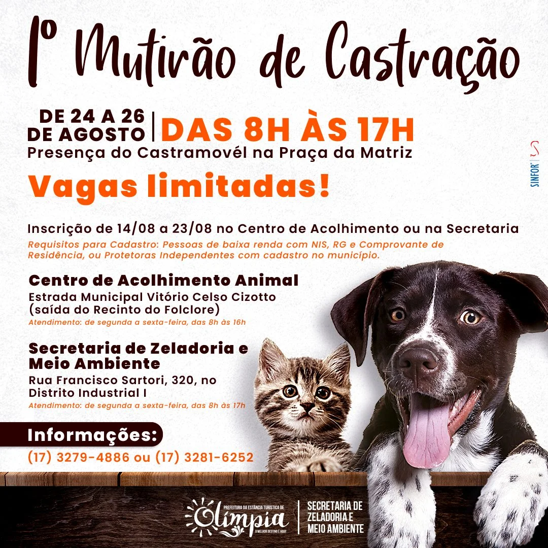 Prefeitura de Olímpia traz 1º Mutirão de Castração gratuito de cães e gatos  | Diário de Olímpia