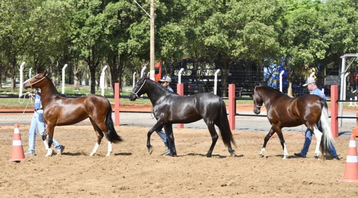 2ª Expo Especializada das Águas semana que vem no Recinto de Olímpia