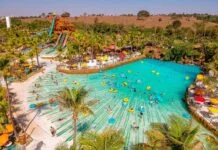 Thermas dos Laranjais lança concurso de fotografia com tema da Primavera
