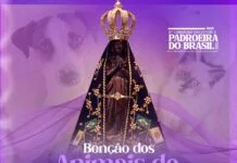 Benção dos Animais ocorre neste domingo (1º) na Igreja Matriz São José