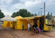 Mutirão de castração atende 222 fêmeas de cães e gatos nos Distritos