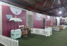 Evento PET no VIVA+ Festival a partir das 17 horas deste domingo (12)