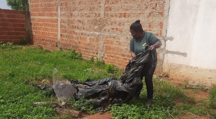 Guaraci intensifica operações de limpeza para combate a escorpiões