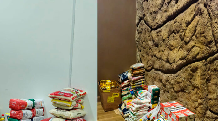 Museu de Cera e Vale dos Dinossauros arrecadam 3,5 toneladas de alimentos