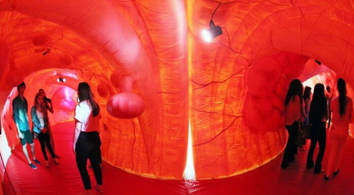 “Intestino Gigante” estará no Riopreto Shopping em ação educativa da AORP