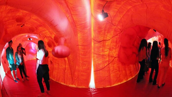 “Intestino Gigante” estará no Riopreto Shopping em ação educativa da AORP