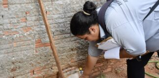 Dengue em Olímpia: Estado revela 63 casos confirmados em 2025