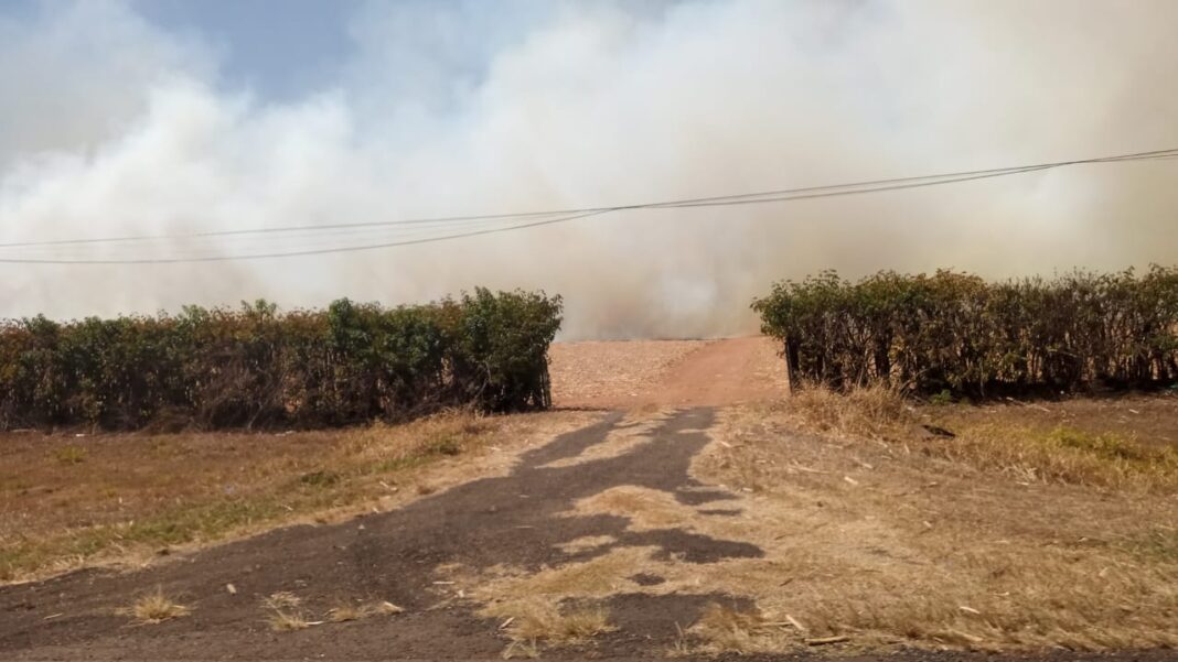queimada pitangueiras_sertãozinho (2)
