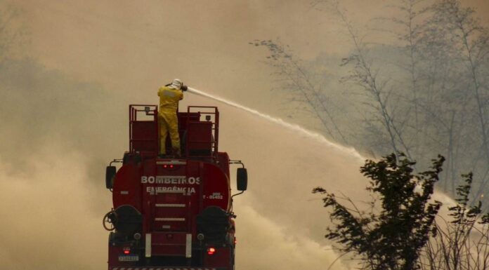 Tereos mobiliza comunidades e produtores para prevenir incêndios