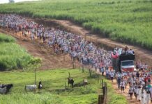 Caminhada da Fé volta a reunir devotos no feriado de Nossa Senhora Aparecida