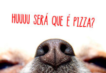 SOS Animais promove ação com “Pizza Solidária” nesta sexta-feira (8)