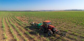 Tecnologia israelense em canaviais da Tereos para controle de pragas