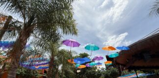 Hot Beach espera 30 mil foliões no Carnaval com shows e festa à fantasia