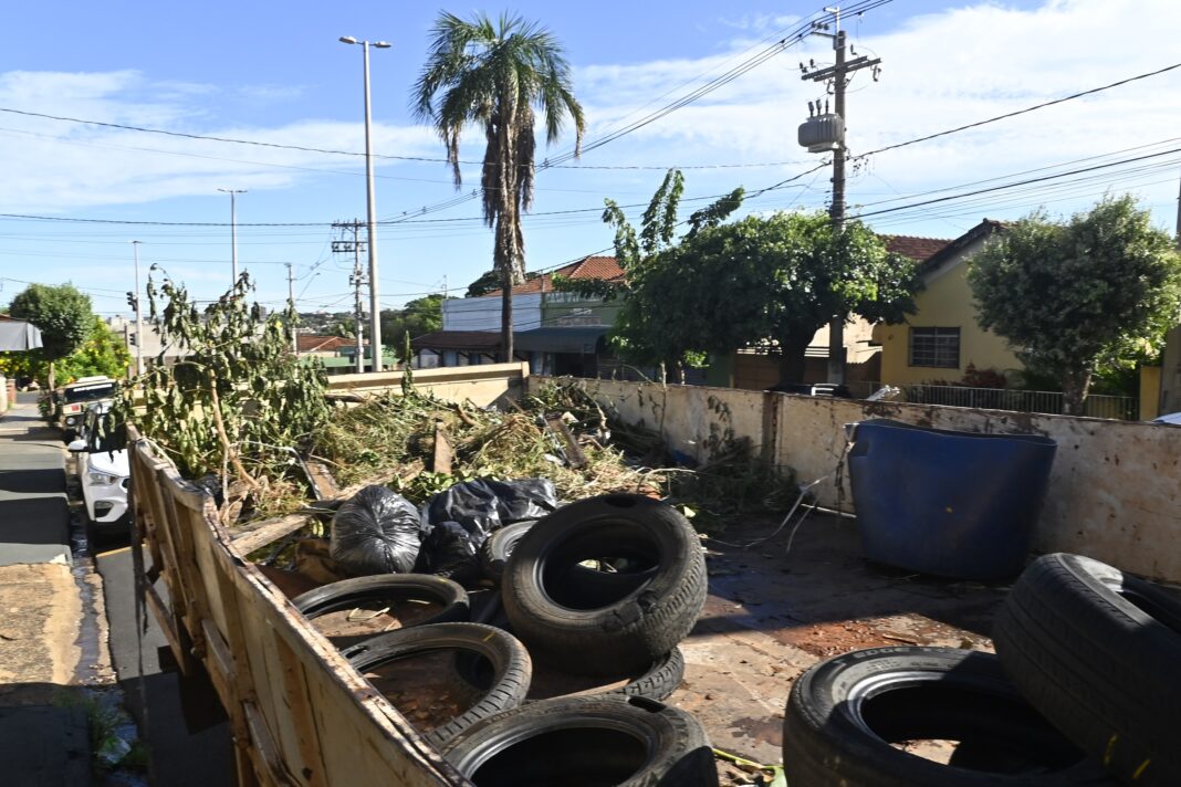 Combate a Dengue (2)